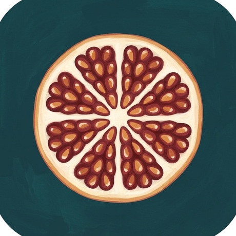 Early icon iteration: a flatter, brighter pomegranate cross-section on teal.